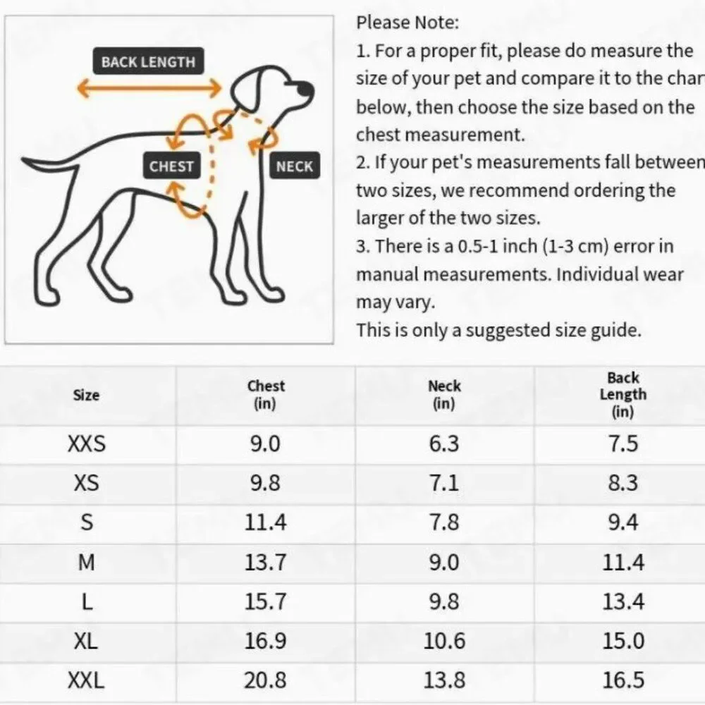 N/A bear graphic